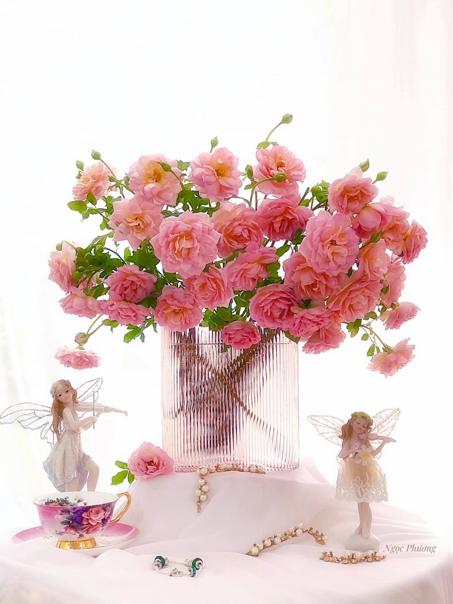 Tử vi ngày 19/7/2022 của 12 cung hoàng đạo